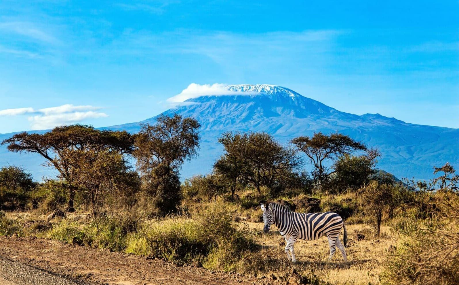 Mt Kilimanjaro